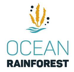 Ocean Rainforest
